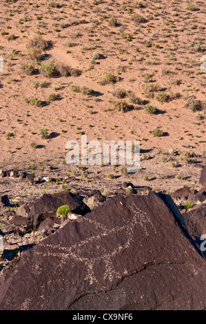 Incisioni rupestri a Boca Negra Canyon, Petroglyph National Monument, Albuquerque, Nuovo Messico, STATI UNITI D'AMERICA Foto Stock