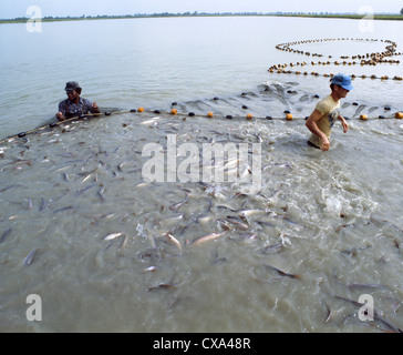 Il canale di raccolta catfish mississippi Foto Stock