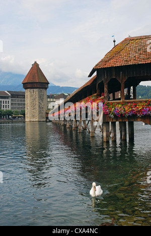 Il Ponte della Cappella e alla torre d'acqua, fiume Reuss, Lucerna, Svizzera Foto Stock