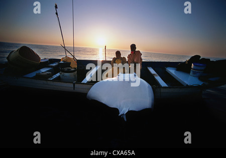 Gill Net Fisherman cale Manta Ray (Manta birostris) sulla scheda. Huatabampo, Messico, Golfo di California, Oceano Pacifico Foto Stock