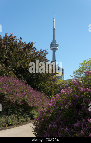 La CN Tower vista dal Porto Giardino di musica. Foto Stock