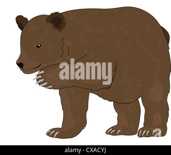 Orso o Ursus arctos, marrone, illustrazione vettoriale Foto Stock