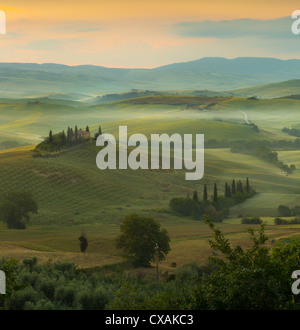 Sunrise in una nebbiosa della valle di San Quirico d'Orcia in colline Toscane con vista su Villa Belvedere Foto Stock