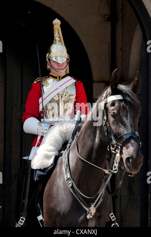 La vita di una guardia della cavalleria della famiglia reggimenti di sentinella, London, England, Regno Unito, Europa Foto Stock