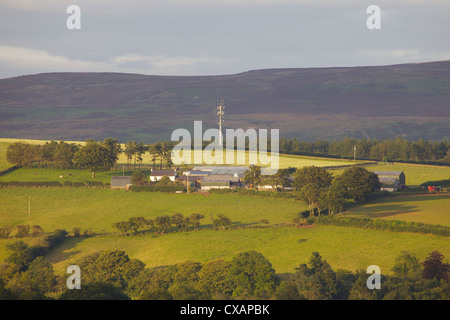 Harras Farm e telefono il montante con alberi e campi in luce dorata su una serata estati a Harras, Ainstable, Eden Valley Foto Stock