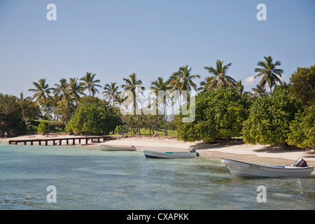 Spiaggia, Cayo Levantado, Samana Bay, Repubblica Dominicana, Antille Maggiori, West Indies, dei Caraibi e America centrale Foto Stock