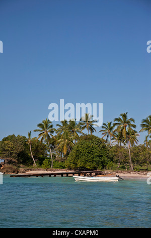 Spiaggia, Cayo Levantado, Samana Bay, Repubblica Dominicana, Antille Maggiori, West Indies, dei Caraibi e America centrale Foto Stock