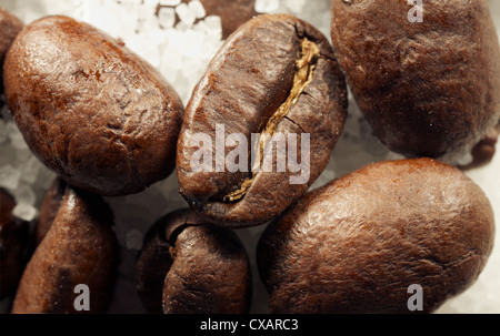 Un primo piano di alcuni chicchi di caffè su un letto di zucchero Foto Stock