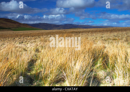 Ben Clach vicino a Crieff, Perthshire Scozia, Regno Unito, Europa Foto Stock