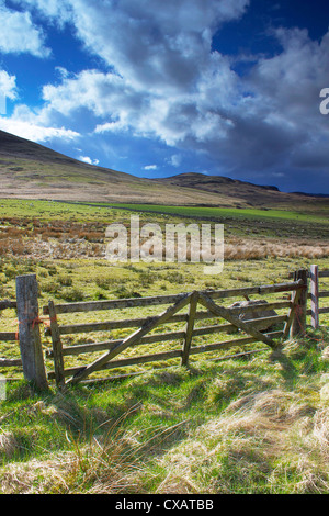 Ben Clach vicino a Crieff, Perthshire Scozia, Regno Unito, Europa Foto Stock