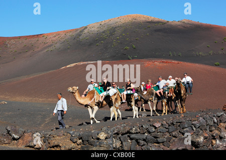 Dromedario ride sulle pendici della montagna di Timanfaya, Parco Nazionale di Timanfaya, Lanzarote, Isole Canarie, Spagna, Europa Foto Stock