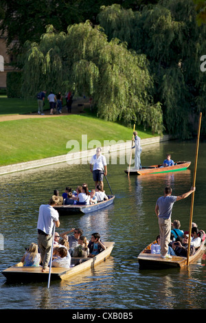 Punting sul dorso, fiume Cam, Clare College di Cambridge, Cambridgeshire, England, Regno Unito, Europa Foto Stock