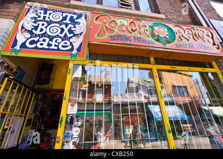 Il fumo di marijuana shop, Kensington market, Toronto, Ontario, Canada, America del Nord Foto Stock