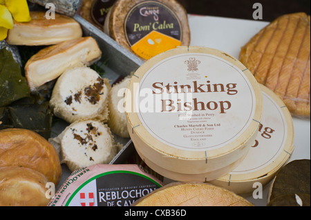 Selezione di formaggi europei per la vendita tra cui vescovo puzzolente in stallo a Abergavenny Food Festival Foto Stock