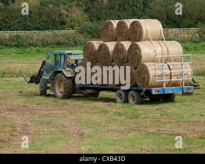 Il trattore e il rimorchio caricato con grandi balle rotonde, Cornwall, Regno Unito Foto Stock