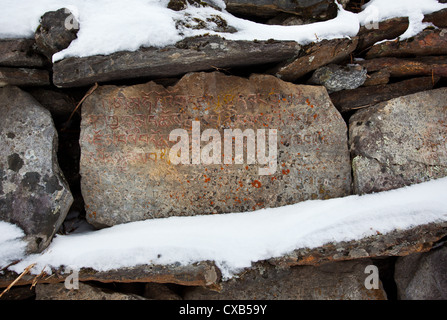 Vecchio Mani pietre inscritte con un mantra buddista e coperti di neve, Langtang Valley, Nepal Foto Stock