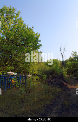 Il vecchio cimitero di ortodossi in Luhansk, Ucraina Foto Stock