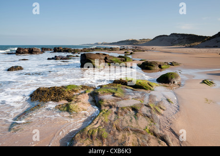 Spiaggia vuota a Scremeston sulla Northumberland costa dell'Inghilterra Foto Stock
