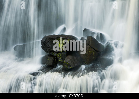 L'acqua che scorre su rocce impilate a Ebor cade. Foto Stock