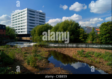 UK,South Yorkshire,Sheffield,Cinque sbarramenti a piedi,Saville Casa accanto al Fiume Don a camminare Mill Weir Foto Stock