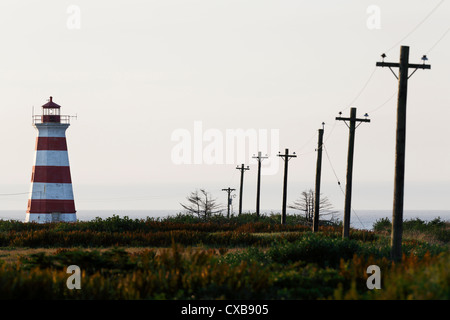 Luce occidentale, Gateway per la Baia di Fundy, Brier Island, Nova Scotia Foto Stock