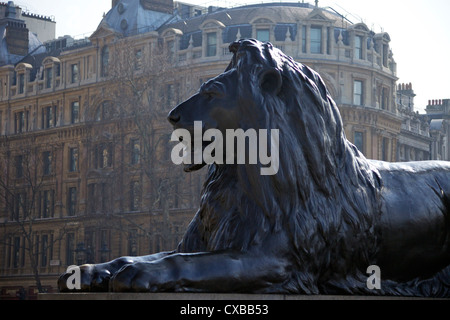 Leone di bronzo della statua di Sir Edwin Landseer, Trafalgar Square, London, England, Regno Unito, Europa Foto Stock