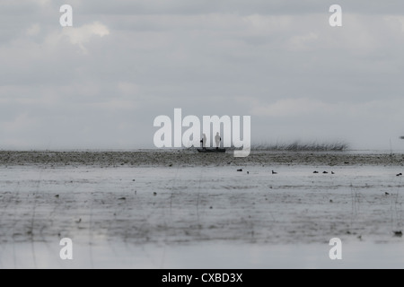 Lago Võrtsjärv, tramonto,cloud, nuvole, riflessione, ombre,l'acqua,lago,sera,silenzioso,calma, fisherman Foto Stock