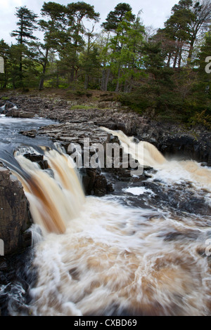 Bassa forza in cascata Teesdale superiore, nella contea di Durham, England, Regno Unito, Europa Foto Stock