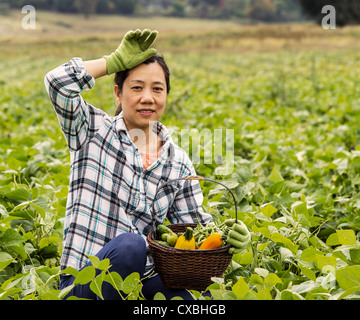 Donne mature prendendo break dalla raccolta di fagioli verdi nel campo Foto Stock