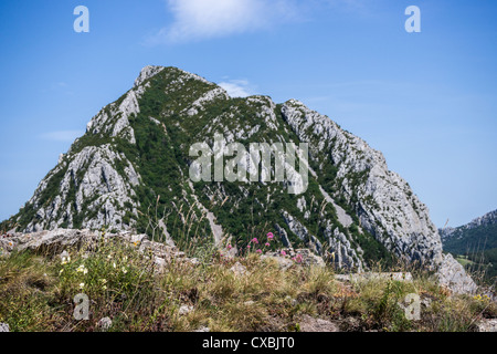 Vista dal castello cataro Puilaurens nel Languedoc, Francia. Foto Stock