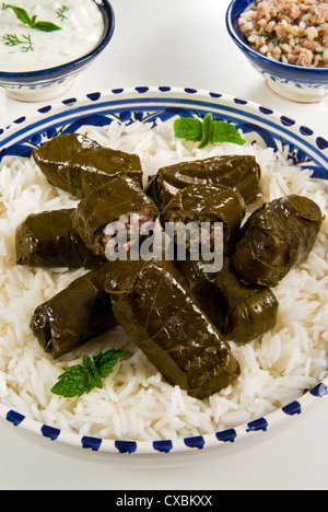 Dolma (Dolmades), foglie di uva ripiene di carne e riso, la Turchia e la Grecia Foto Stock
