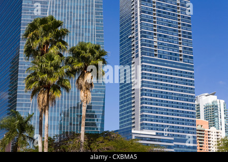 HSBC torre sulla destra e Chase Tower su Brickell Avenue, Miami, Florida, Stati Uniti d'America, America del Nord Foto Stock
