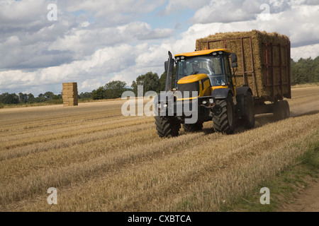 Trattore a raccogliere le balle di paglia nel campo di cereali Sutton Suffolk in Inghilterra Foto Stock