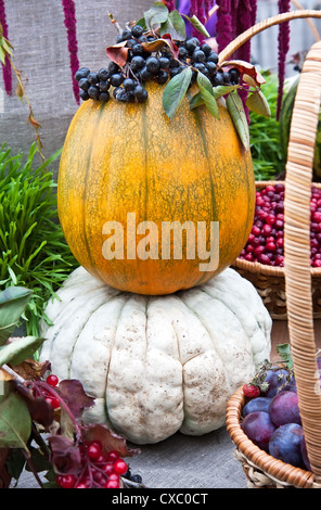Bellissima Autumn harvest in harvest festival Foto Stock