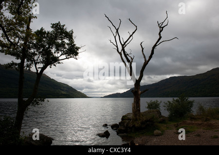 Loch Lomond è un lago di acqua dolce che contiene molte isole ed è una popolare destinazione turistica per escursionisti -2 Foto Stock