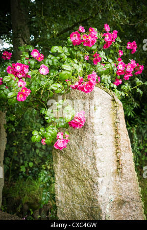 Concetto concettuale, concetti, spazio spazio copia Foto Stock