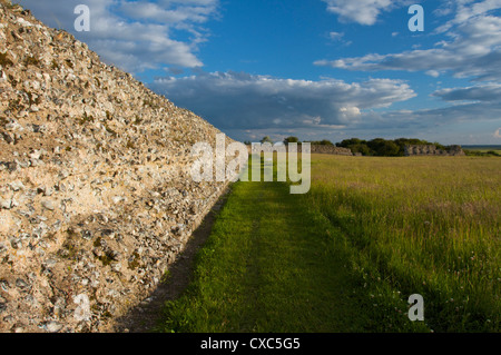 Burgh Castle, Great Yarmouth, Norfolk, Inghilterra, Regno Unito, Europa Foto Stock