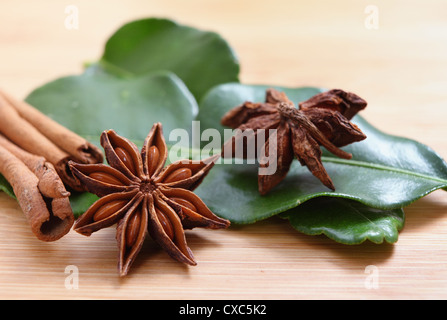 Anice stellato (Illicium verum - entrambi i lati del contenitore mostrato), cannella e combava Foto Stock