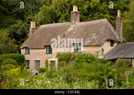 La Thomas Hardy's cottage, maggiore Bockhampton, vicino a Dorchester Dorset, England, Regno Unito, Europa Foto Stock