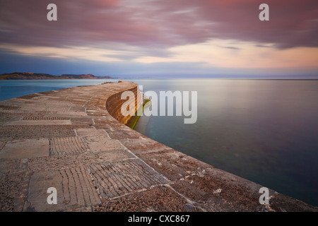 La pietra Cobb o parete del porto, un famoso punto di riferimento di Lyme Regis, Jurassic Coast, Sito Patrimonio Mondiale dell'UNESCO, Dorset, Inghilterra Foto Stock