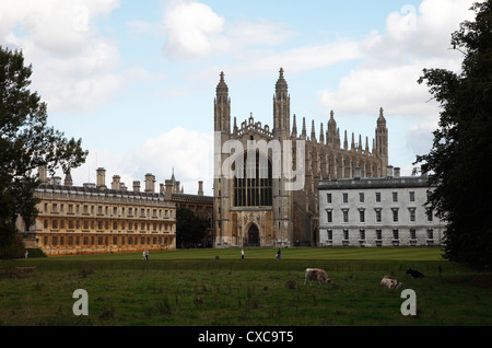 Kings College Chapel con re a destra e Clare College a sinistra dal dorso della città di Cambridge Inghilterra Foto Stock