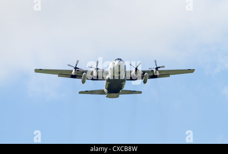 C-130 Ercole appartenenti alla forza aerea svedese Foto Stock