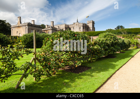 Mele maturate in crescita sulla spalliera viale di alberi da frutto entro il giardino murato di Rousham House in Oxfordshire, Inghilterra Foto Stock