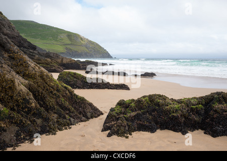 Slea testa con Coumeenoule Beach, la penisola di Dingle, Co. Kerry, Repubblica di Irlanda. Foto Stock