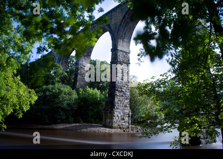 Lambley Viaduct, Northumberland Foto Stock