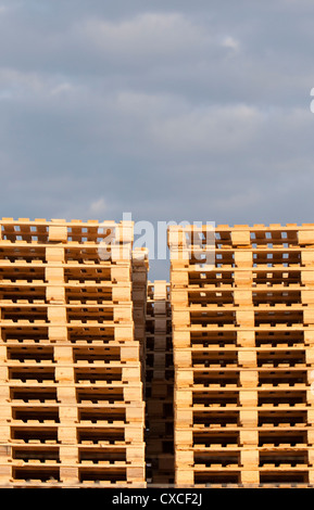 Scorte di pali di pallet di legno nuovi EUR standard cargo Foto Stock