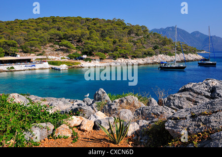 Barche ormeggiate in una pittoresca baia di fronte alla taverna di Aponisos Beach, sulla piccola isola greca di Agistri, Golfo Saronico, Grecia, Foto Stock