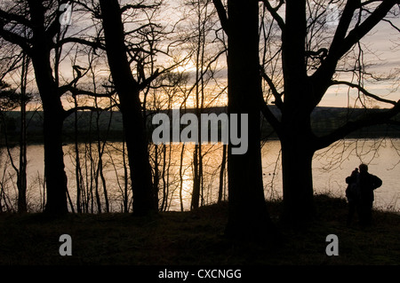 Coppia giovane (coccole) stagliano al tramonto contro il drammatico golden sky guardando fuori attraverso gli alberi su SCENIC Swinsty serbatoio, North Yorkshire, Regno Unito Foto Stock