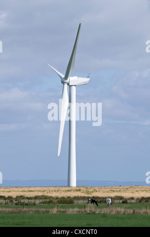 1 gigante turbina eolica (obbrobrio) torreggia su terreni agricoli i campi in una pittoresca campagna - Knabs Ridge onshore wind farm, Harrogate, North Yorkshire, Inghilterra. Foto Stock