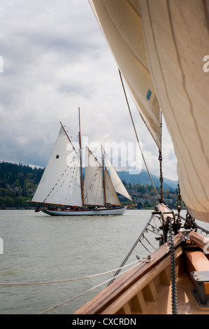 La storica tall ship schooner Zodiac visto sfilare sulla prua di un'altra imbarcazione a vela durante una gara di Bellingham Bay, Washington. Foto Stock